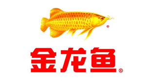 合作夥伴(bàn) 合(hé)作(zuò)夥伴